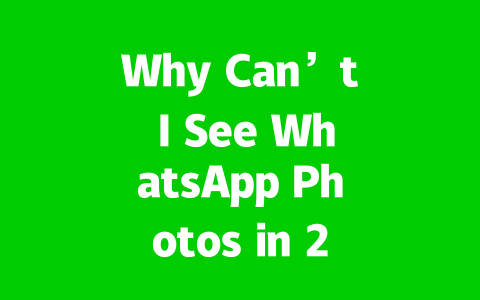 Why Can’t I See WhatsApp Photos in 2025? Quick Fixes 1 723413ce4ac981a44e10ead1b1bb5ac7